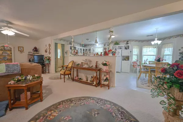 103 Pine Hollow Lane, Mena, AR 71953-0000