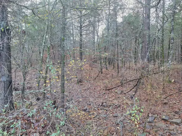 7449 Hwy 270, Boles, AR 72926