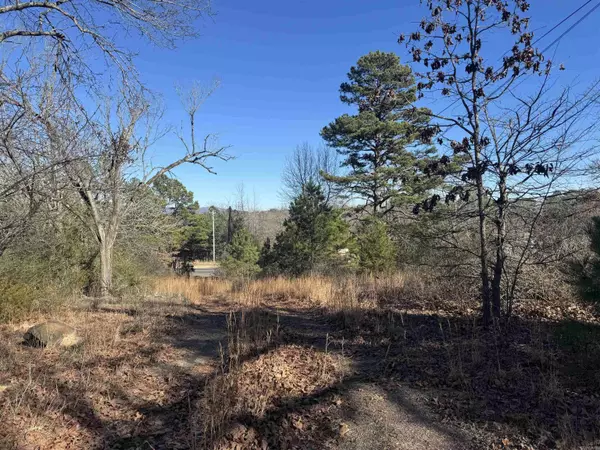 2859 HWY 71 N, Mena, AR 71953