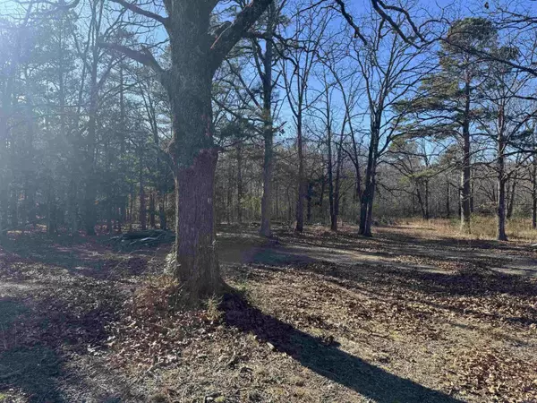 2859 HWY 71 N, Mena, AR 71953