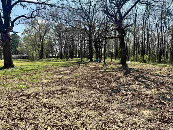 209 Finks Street, Mena, AR 71953