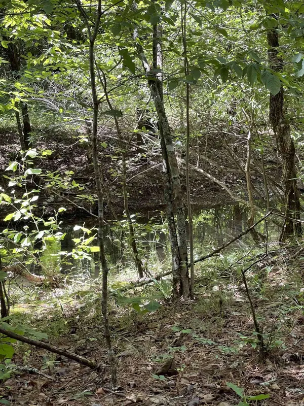 TBD Pleasant Point, Mount Ida, AR 71957
