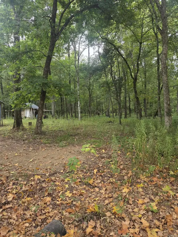 4901 Lakewood Road, Waldron, AR 72958