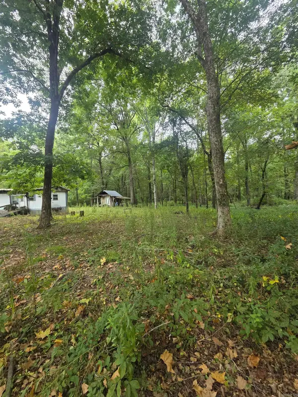4901 Lakewood Road, Waldron, AR 72958