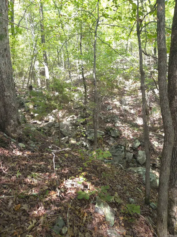 TBD Diamond Rose Lane, Mena, AR 71953