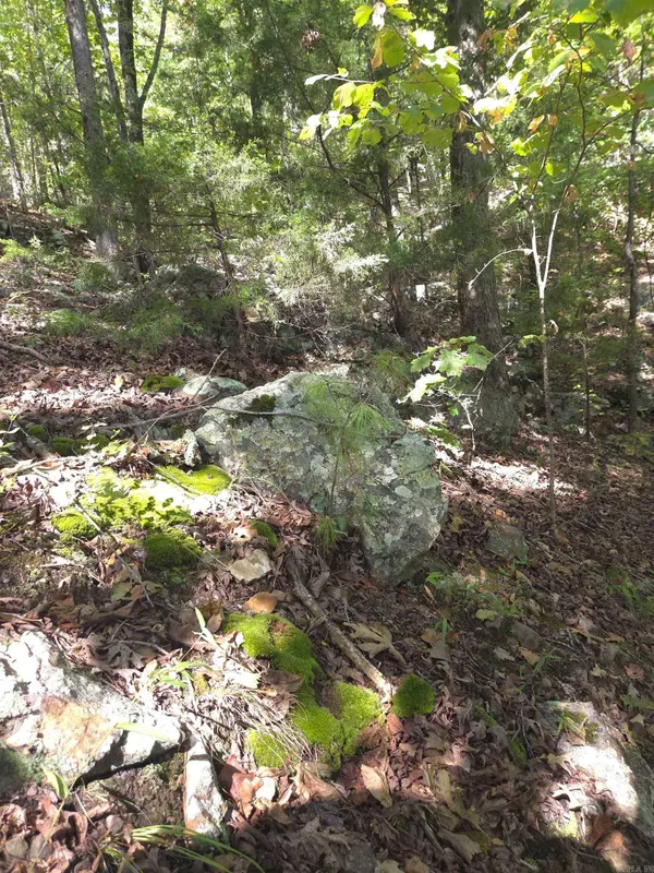 TBD Diamond Rose Lane, Mena, AR 71953