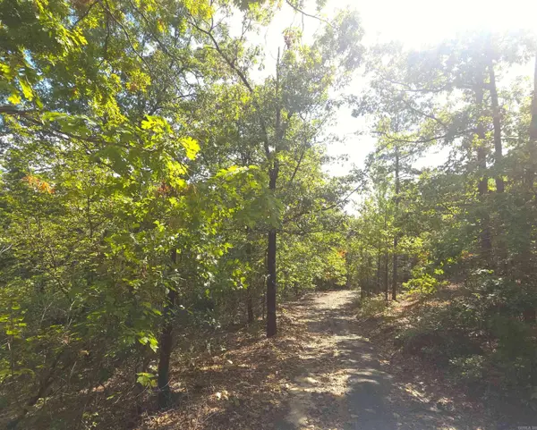 TBD Diamond Rose Lane, Mena, AR 71953