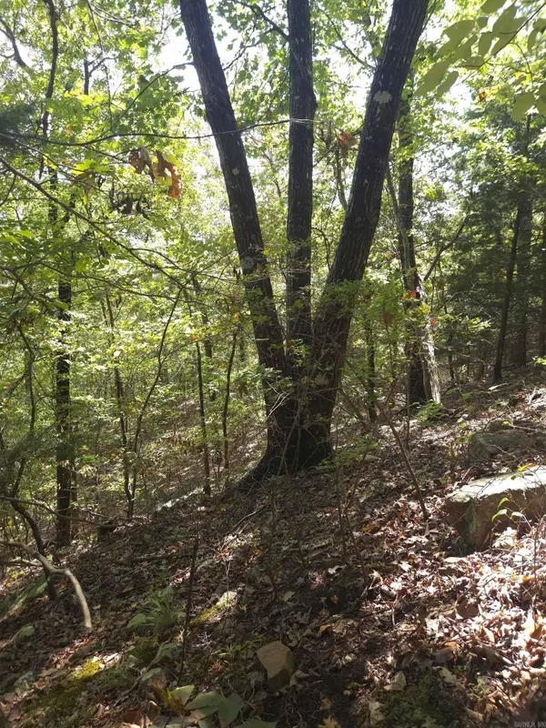 TBD Diamond Rose Lane, Mena, AR 71953