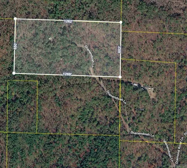 193 Shanendoah Lane, Mena, AR 71953