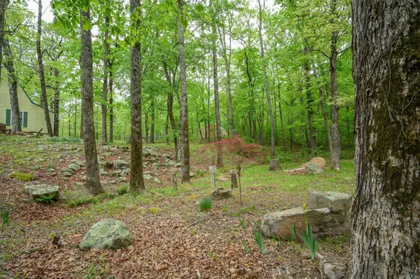 193 Shanendoah Lane, Mena, AR 71953