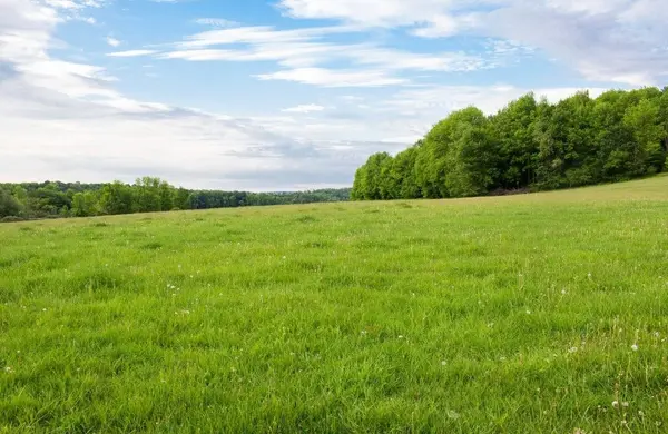 Buying Land in Texas,Beth Steinke