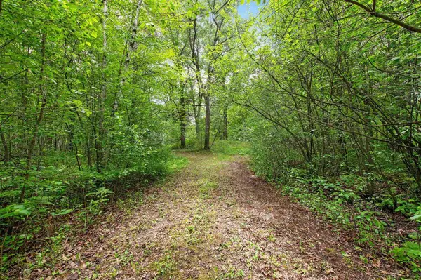 W3017 HALE SCHOOL RD, Peshtigo, WI 54157