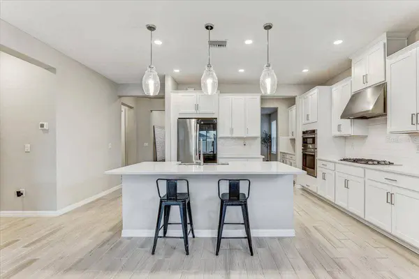 33886 LANDSMAN LOOP, Wesley Chapel, FL 33543