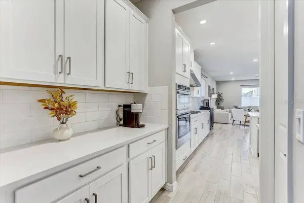 33886 LANDSMAN LOOP, Wesley Chapel, FL 33543