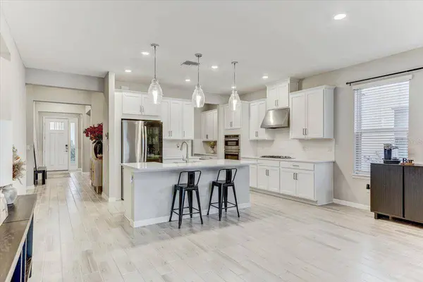 33886 LANDSMAN LOOP, Wesley Chapel, FL 33543