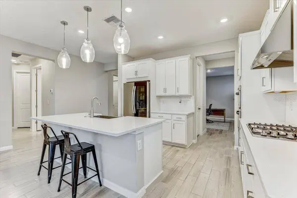33886 LANDSMAN LOOP, Wesley Chapel, FL 33543