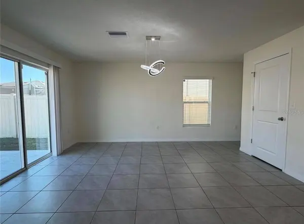 12072 DOWNY BIRCH DR, Riverview, FL 33569