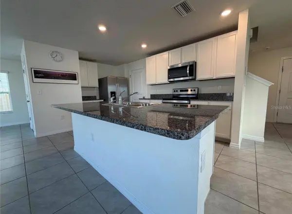 12072 DOWNY BIRCH DR, Riverview, FL 33569