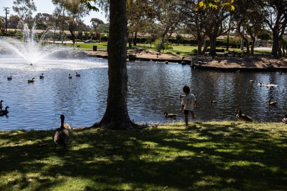 Teawinkle Parkl