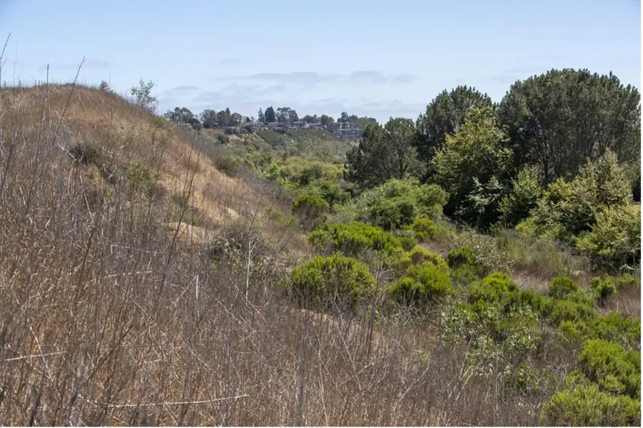 Southwest Costa Mesa