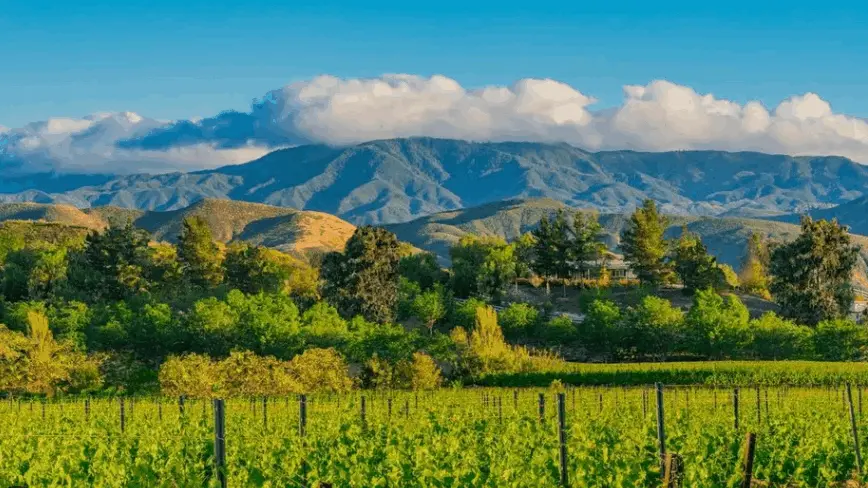 Temecula