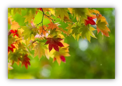  Fall Market Outlook: A Promising Season for Buyers and Sellers 