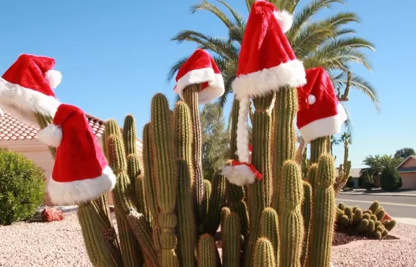 10 Fun Things To Do in Gilbert, Mesa & Queen Creek This November