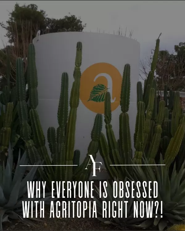 Agritopia: Gilbert’s Most Charming Neighborhood and Why Buyers Can’t Stop Asking About It