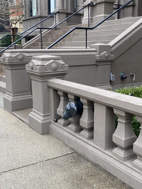 Luxury Back Bay Living for Dog Owners: Welcome to BarkBay