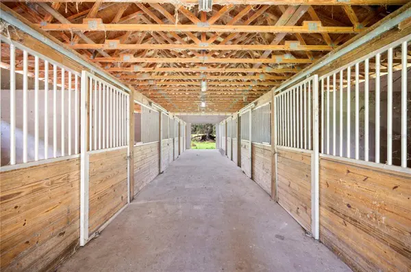 12135 KNIGHTS GRIFFIN RD, Thonotosassa, FL 33592