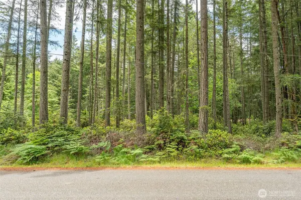 10409 Tahoma Dr, Anderson Island, Anderson Island, WA 98303