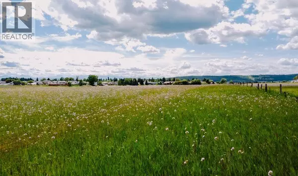 4 Avenue  SE, Diamond Valley, AB T0L1H0