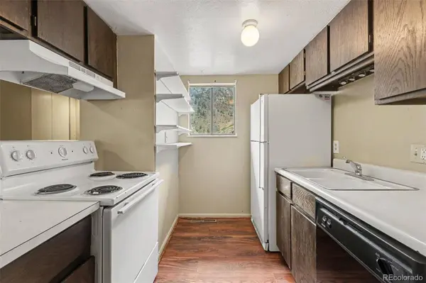 1901 Clear Creek DR #B302, Georgetown, CO 80444