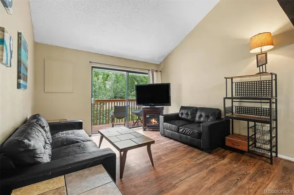 1901 Clear Creek DR #B302, Georgetown, CO 80444