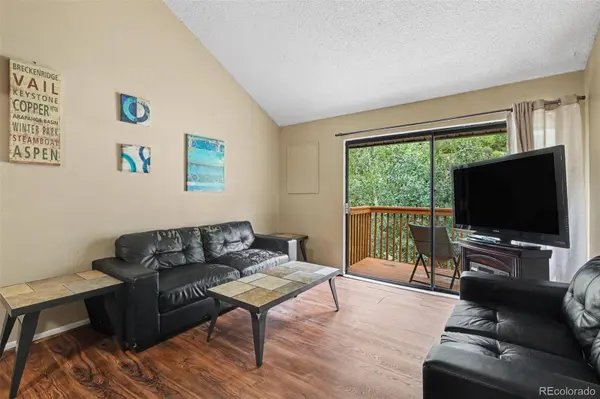 1901 Clear Creek DR #B302, Georgetown, CO 80444