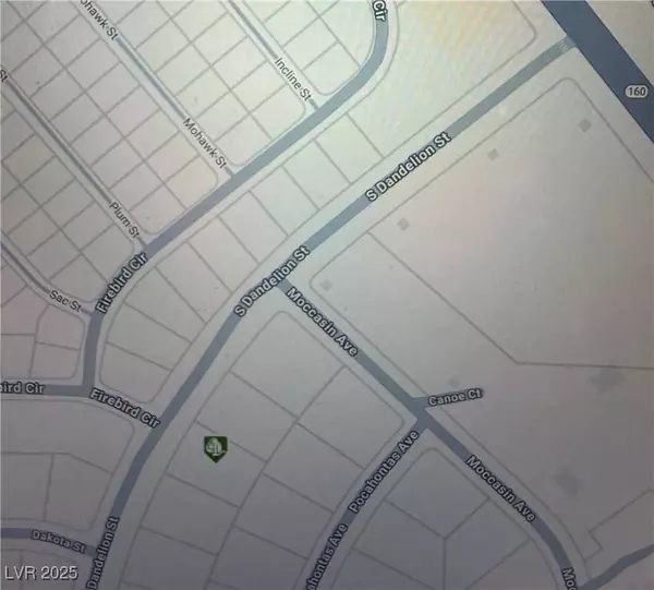 1201 S Dandelion ST, Pahrump, NV 89048