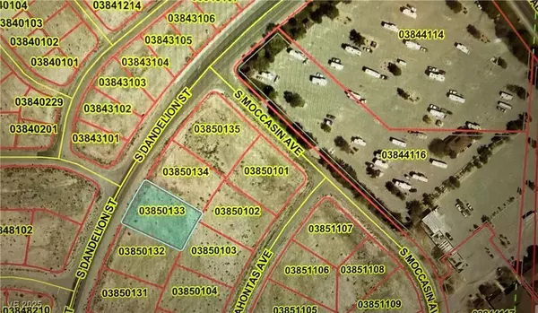 1201 S Dandelion ST, Pahrump, NV 89048