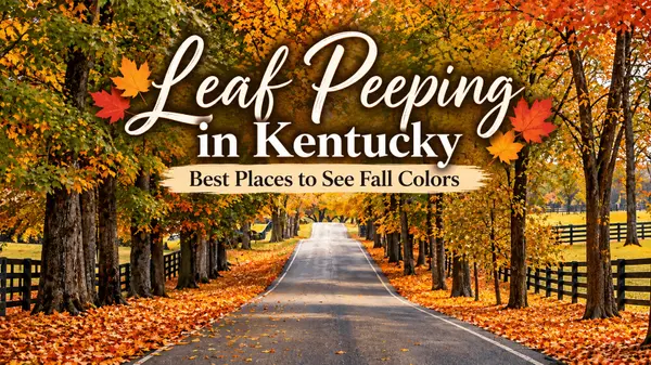 Leaf Peeping in Kentucky: Don't Miss the Short Window of Fall Color!,Jao