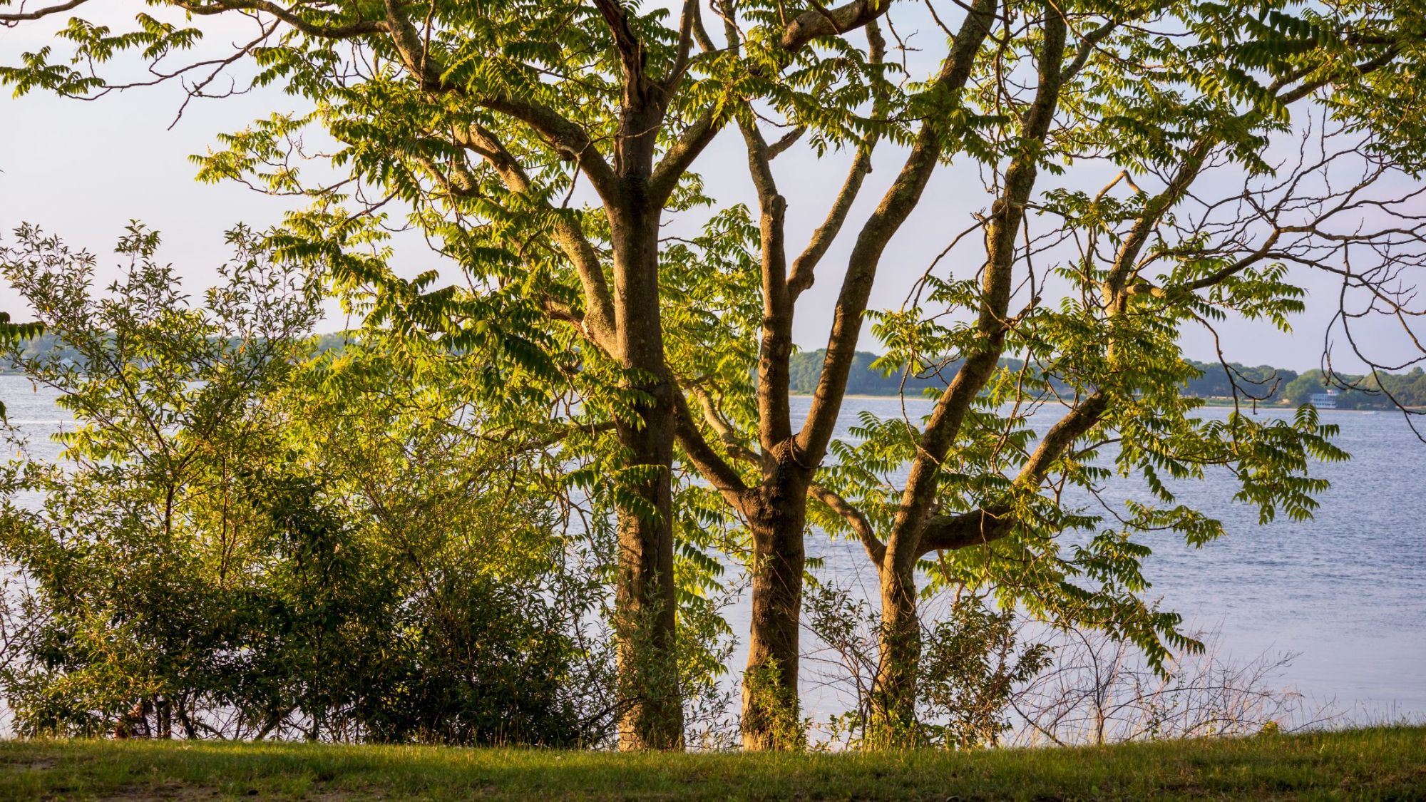 Beach & Outdoor Recreation in Rhode Island Real Estate Greenwich Bay Brokers Realtors