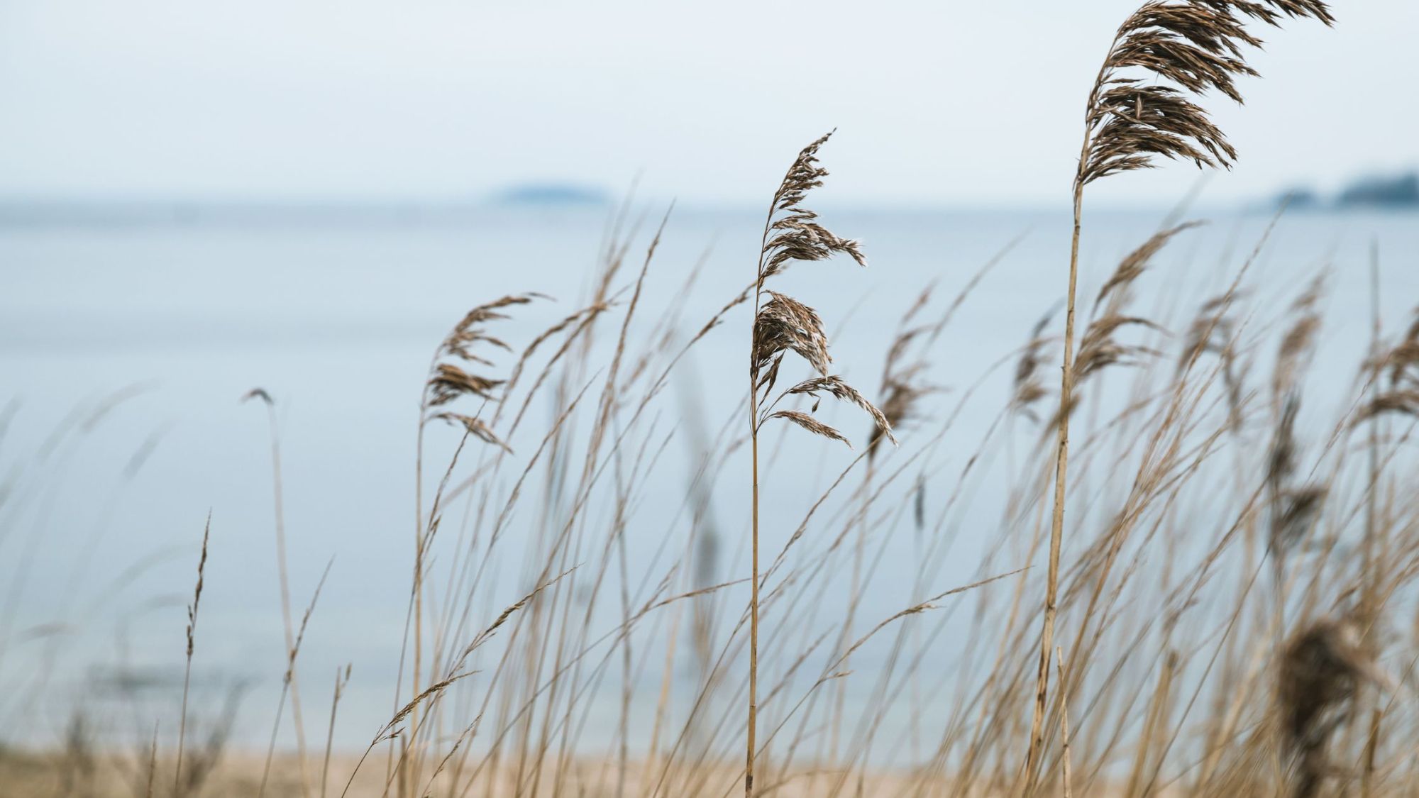 Rhode Island Coastal Living at Its Best with Greenwich Bay Brokers Jennifer Cosgrove Oleary Real Estate