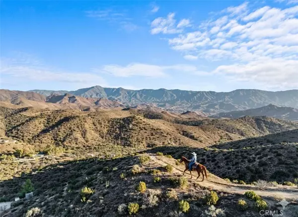 32901 Hawley, Acton, CA 93510