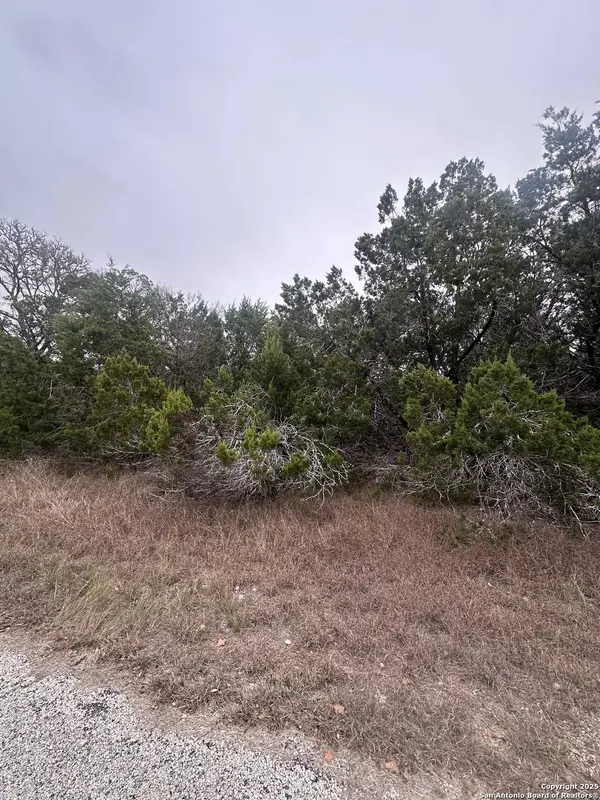 1350 Echo Meadow, Spring Branch, TX 78070