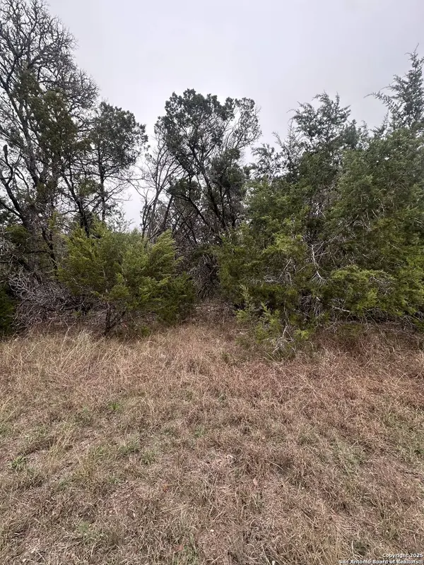 1350 Echo Meadow, Spring Branch, TX 78070
