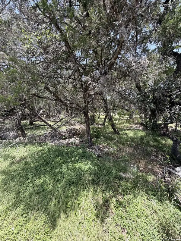 1466 Whispering Water, Spring Branch, TX 78070