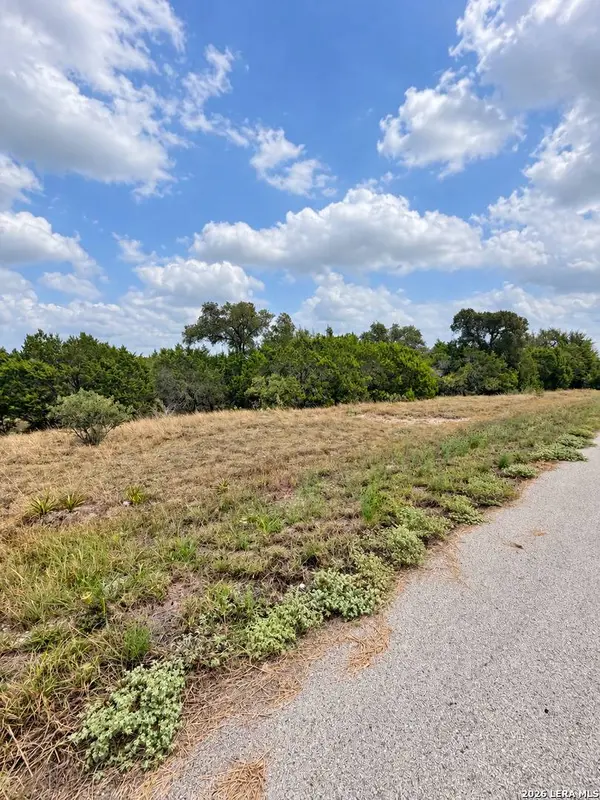 217 BINDWEED LN, Spring Branch, TX 78070