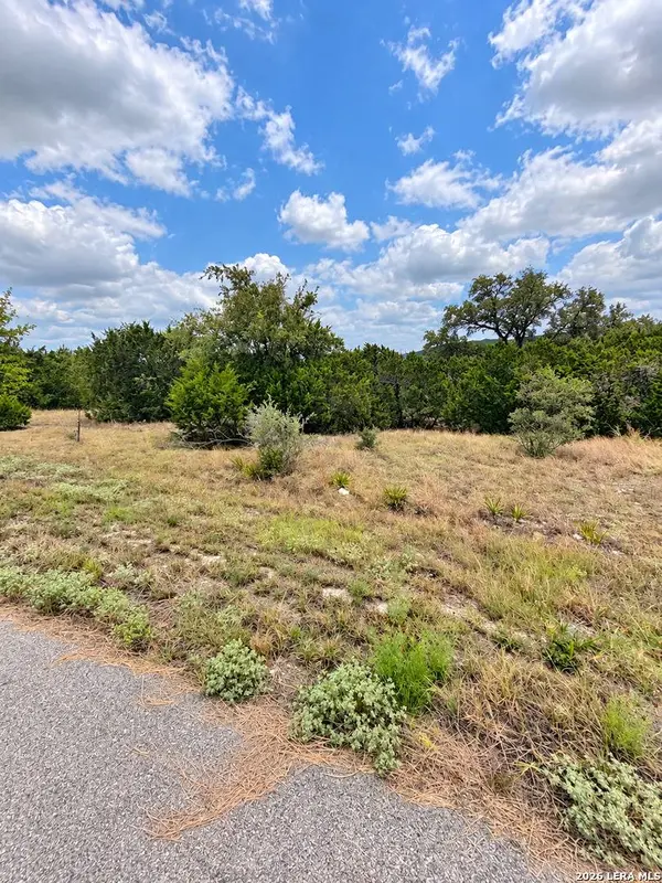 217 BINDWEED LN, Spring Branch, TX 78070
