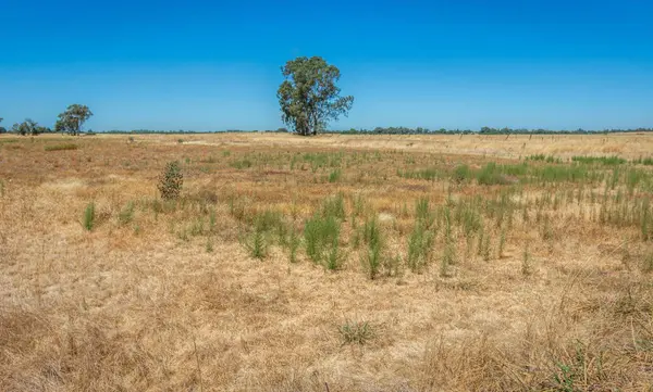 0 Cox LN, Oroville, CA 95965