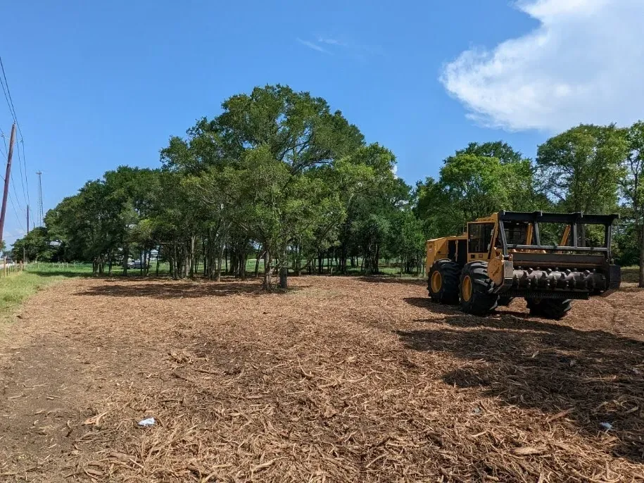 Land Clearing Cost in Georgia