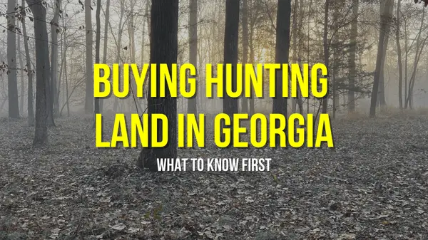 What to Know Before Buying Hunting Land in Georgia