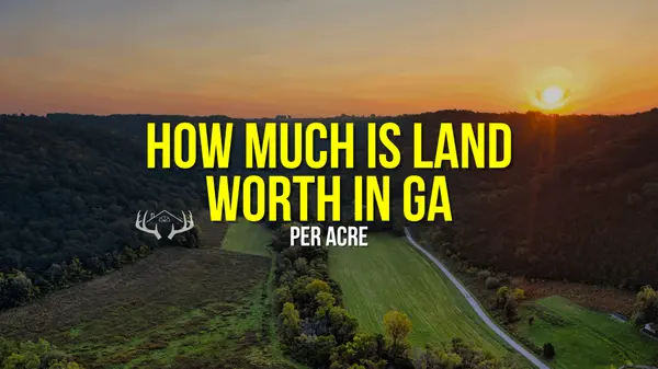 How Much Is Land Worth Per Acre in Georgia?